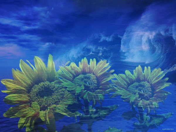 [�� �������]